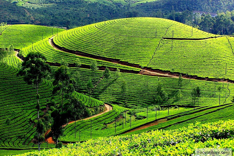 Mysore to Ooty