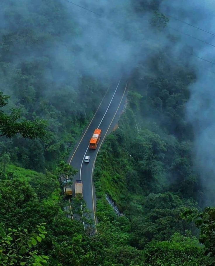 Mysore to Wayanad